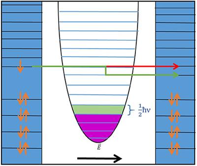 Status of the Vibrational Theory of Olfaction